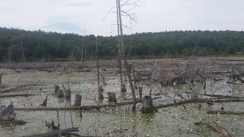 Waterfowl watching blind #1